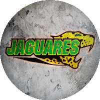 Logo Jaguares de la UR